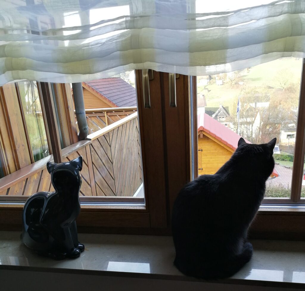 Our cat, the Kitzekatze, sitting at a window checking the periphery. Our cat, the Kitzekatze, sitting on a window sill with her double, checking the periphery.